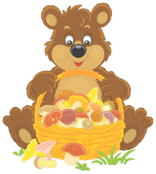 istock Brown bear with a basket of mushrooms 1320445917