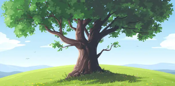 Vector illustration of Big Old Tree