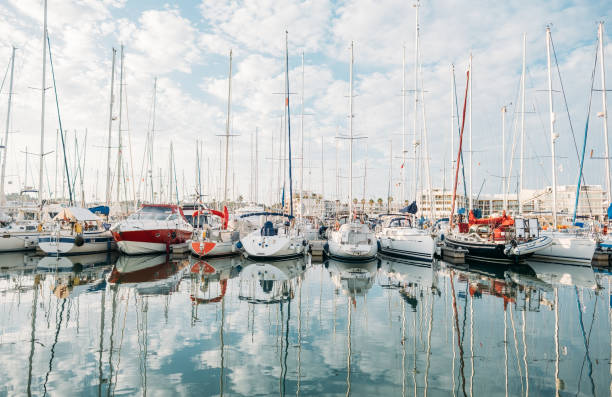 istock Snow-white yachts with long masts in the ocean marina 1320447720