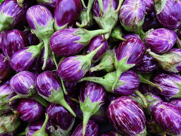 istock Graffiti eggplants with white stripe on glossy purple skin 1320448109