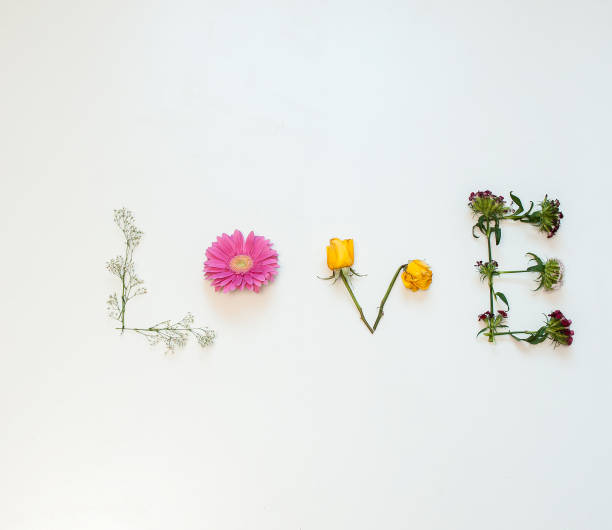istock white background love flower shoot 1320449167