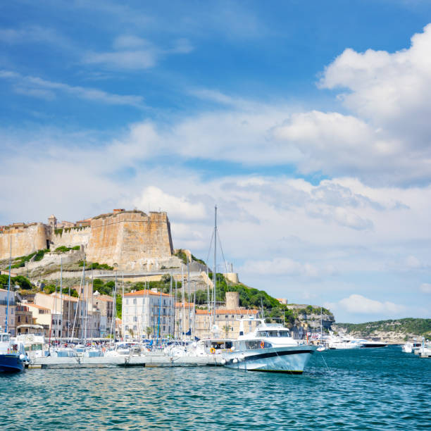 istock Panorama of Bonifacio, Corsica 1320449950
