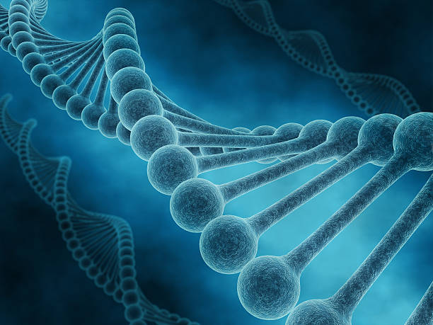 istock Close-up of the DNA molecular structure 132045154