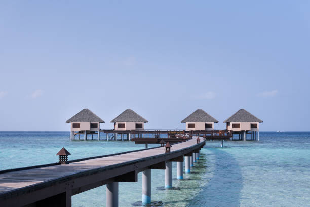 istock Tropical travel destination with water bungalows 1320454531