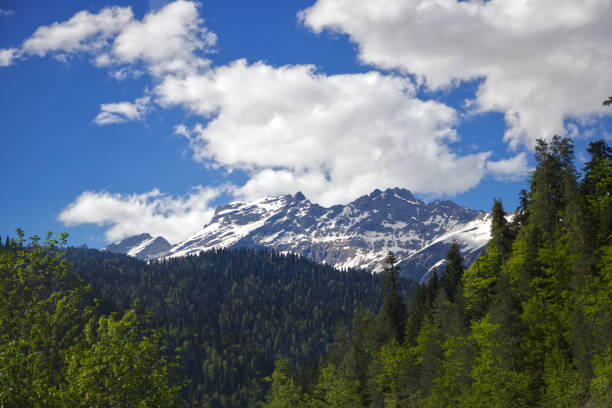 istock landscape mountains and forest in spring on blue sky background 1320459058