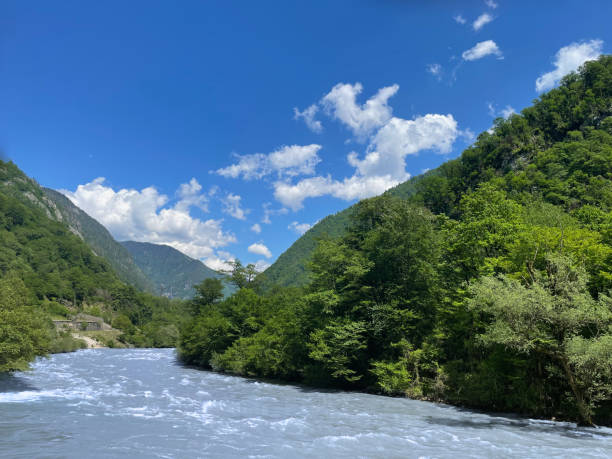 istock mountain river in the mountains 1320459115
