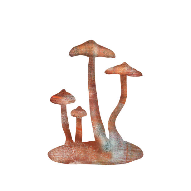 치명적인 웹캡, 유독한 코르티나리우스 버섯의 일러스트 - 끈적버섯과 일러스트 stock illustrations