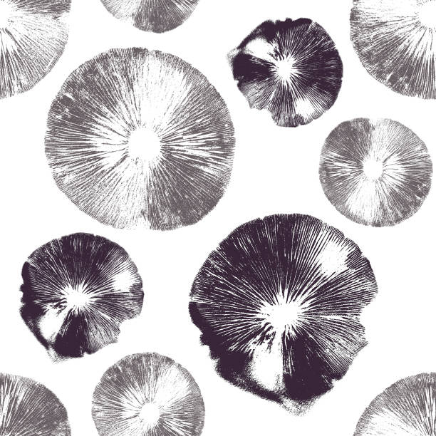 ilustrações de stock, clip art, desenhos animados e ícones de mushroom spore print seamless pattern - spore