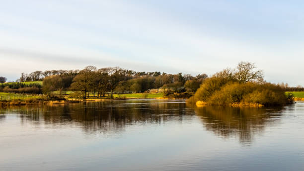 reflexão sobre o rio dee da ilha lamb em threave estate, em um dia ensolarado de inverno, dumfries e galloway, escócia - river annan - fotografias e filmes do acervo