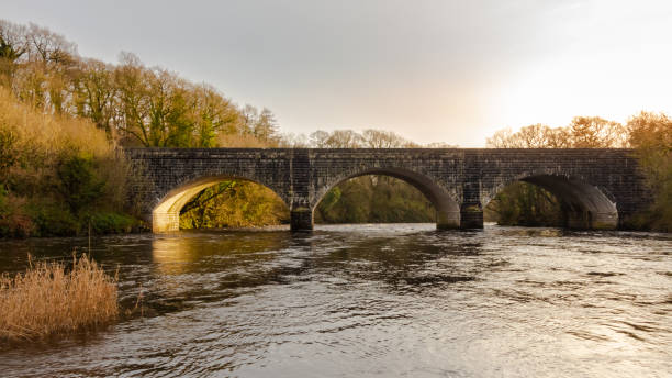 ponte threave sobre o rio dee perto do castelo douglas, em um dia ensolarado de inverno, dumfries e galloway, escócia - river annan - fotografias e filmes do acervo