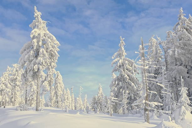 istock Winter mountain trail covered with snow. Blue sky over white mountains. 1320462383