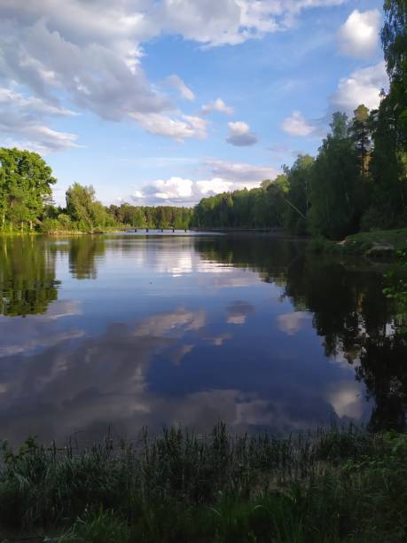 istock River calm water in forest reflecting blue sky with clouds, green trees  in bright summer day 1320462625