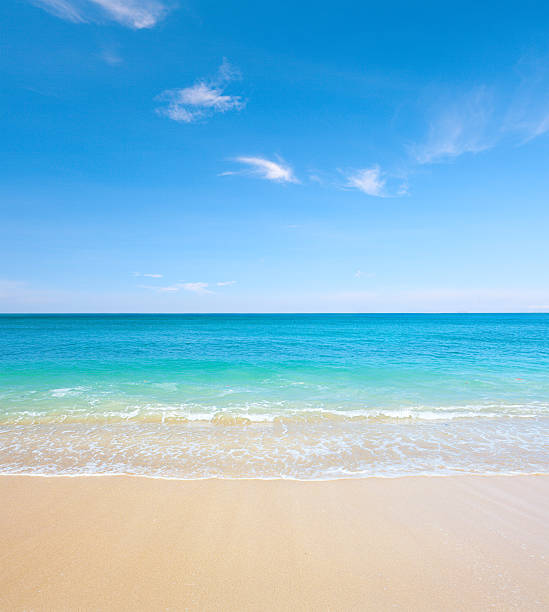 istock beach and tropical sea 132046389