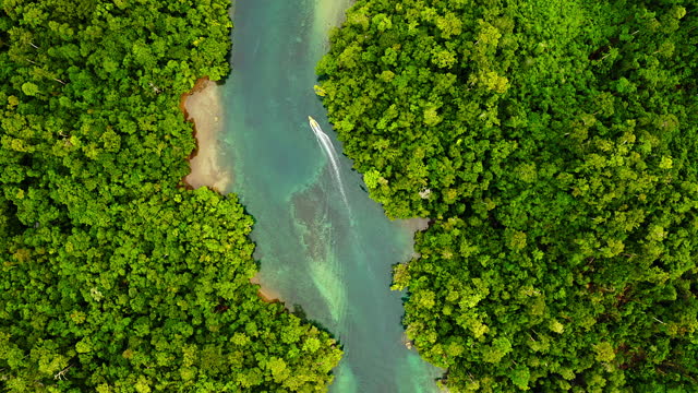 4k video footage of a boat sailing through a canal along the Raja Ampat islands in Indonesia