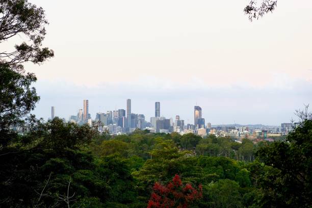istock Brisbane Skyline View Above Garden Trees 1320467741