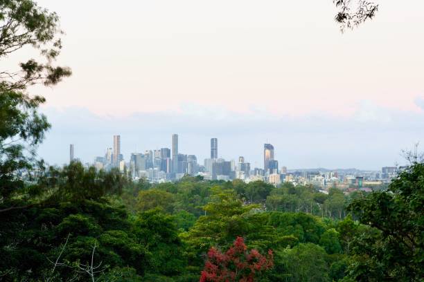 istock View Above The Garden Trees - A Brisbane Skyline 1320468425