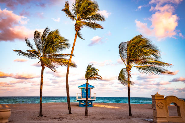 istock Hollywood beach, Hollywood, Florida, usa 1320474029