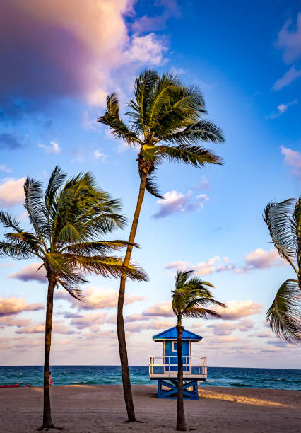 istock Hollywood beach, Hollywood, Florida, usa 1320474030