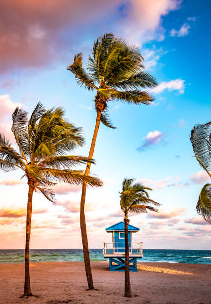istock Hollywood beach, Hollywood, Florida, usa 1320474054