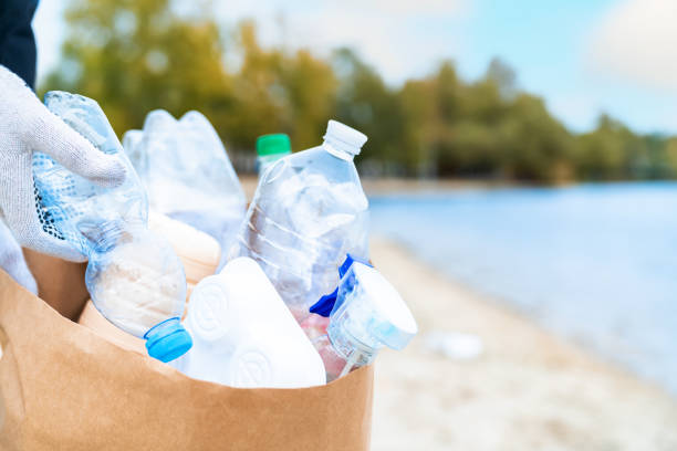 istock Volunteer cleaning beach from trash 1320474438