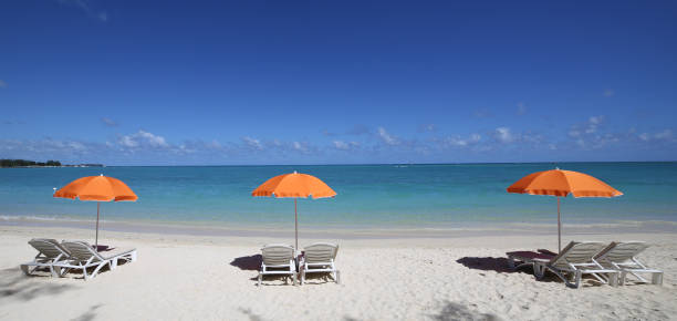 istock Parasols and beach in Mauritius island 1320474523