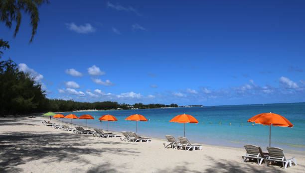 istock Parasols and beach in Mauritius island 1320474543
