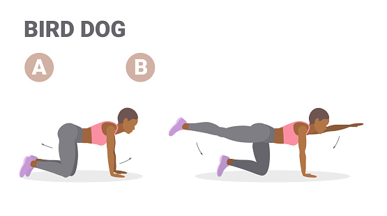 African American Woman Doing Bird Dog Exercise Guide. Colorful Concept of Black Female Dog Bird Home Workout. Girl in Sportswear Does the Fitness Exercise for Shaping Her Butt.