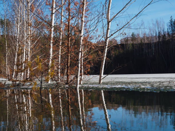 istock Melt ice on the lake in early spring. Snowfall in the forest 1320478132
