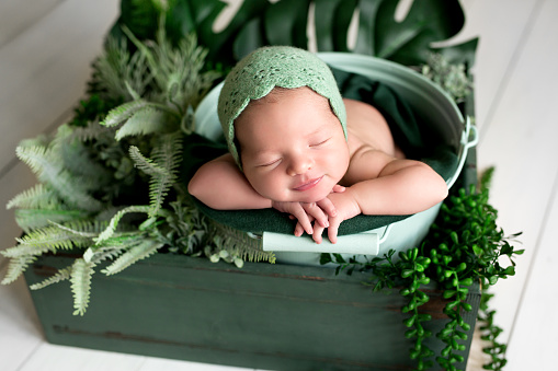 Newborn sweetly sleeps in a basket with green plants