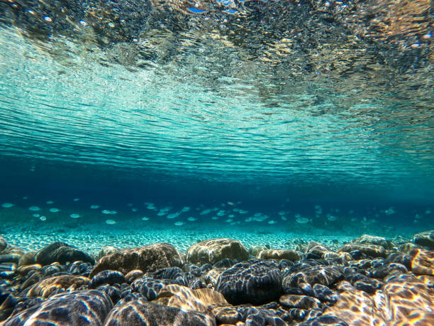istock Tropical blue ocean with white sand, rocks and small fish, underwater in Hawaii 1320481111