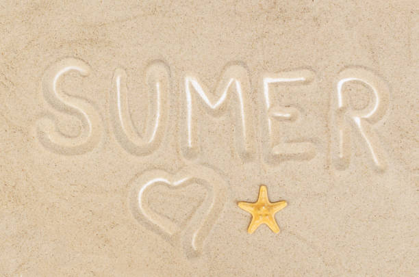Top view, flat lay of scattered plastic beach toys on sand background, family summer vacation, Background with empty space for text