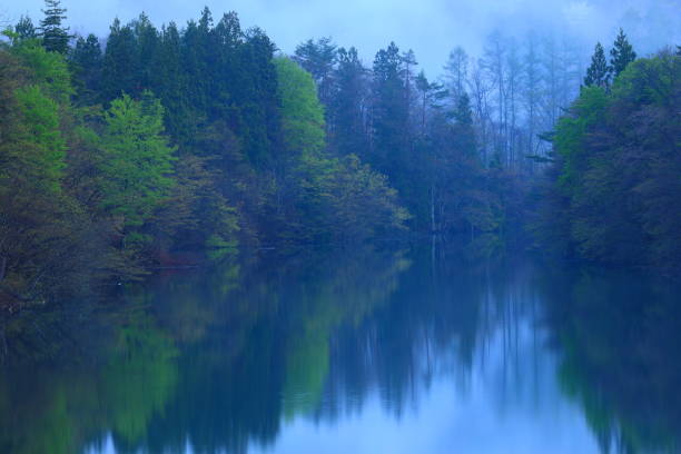 istock Iwate Prefecture Fresh Green Lake 1320482388