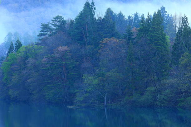 istock Iwate Prefecture Fresh Green Lake 1320482389