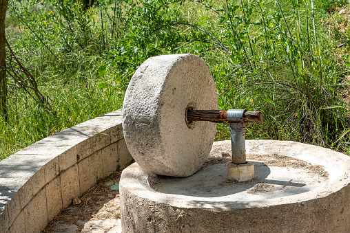 The millstone, olive oil press squeeze out olive oil. the old way