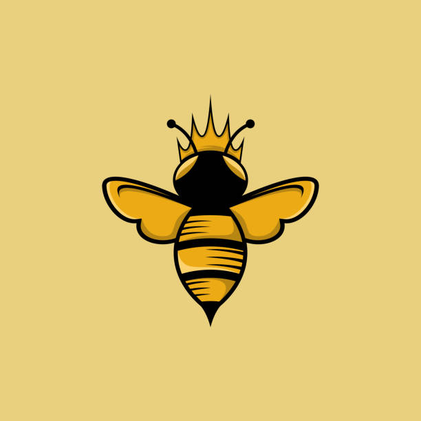 bee crown vector logo design - queen bee stock illustrations