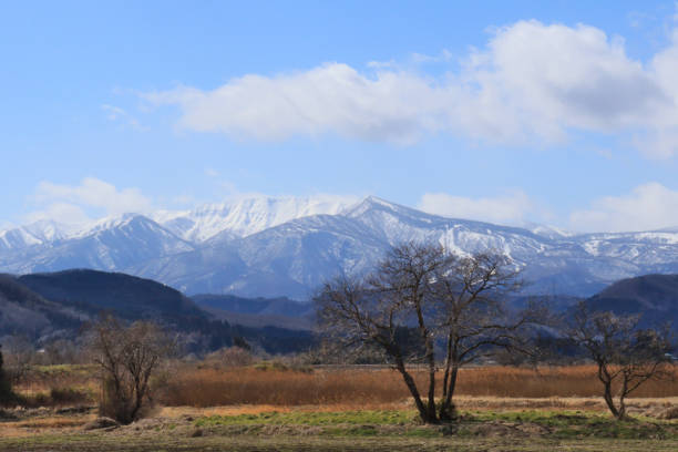 istock Snow-covered Zao mountain range, vast landscape 1320485972