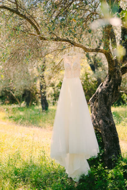 istock Gown Hanging On Tree In Garden 1320486220