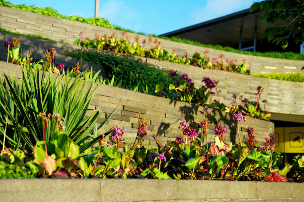 istock Urban green with terraces in the evening light 1320491370