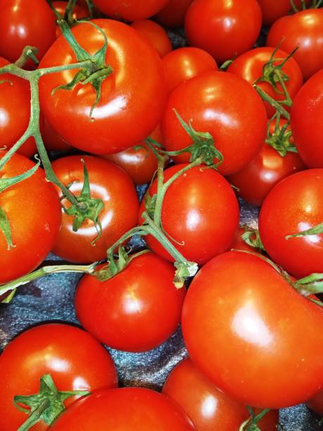 istock Vegetables and fruits 1320492536