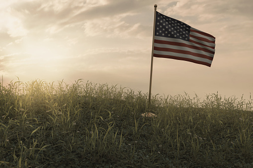 3d rendering of small waving American flag standing on peaceful flower meadow to remember to celebrate the national holiday