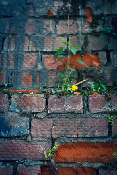 istock Abstract brick and fern background 1320495027