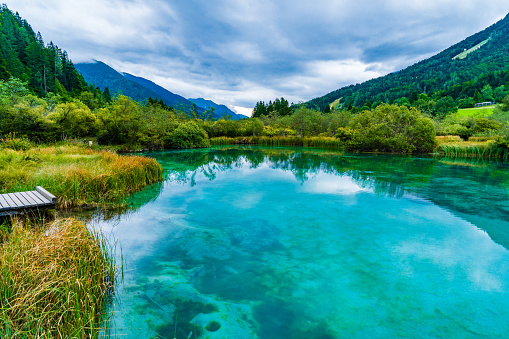 Crystal clear Lake Zelenci in cloudy morning. Slovenian mountains.