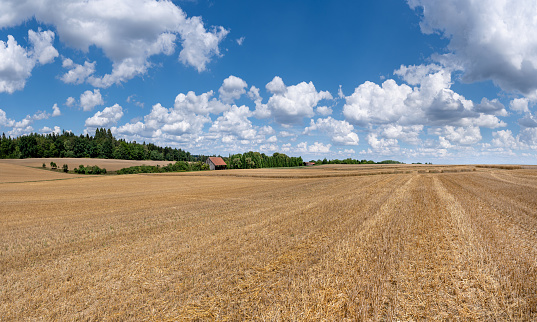 Stubble field in rural idyll in summer with distant barn and cloudscape