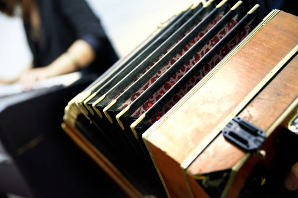 istock Man plays bandoneon at a concert 1320499393