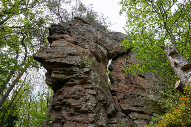 istock impressive and imposing rock in the forest 1320500763