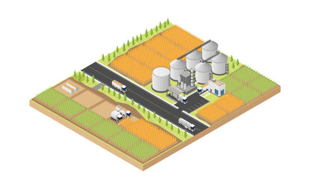 năng lượng nhiên liệu sinh học, nhà máy lọc nhiên liệu sinh học trong đồ họa isometric - silo tank hình minh họa sẵn có