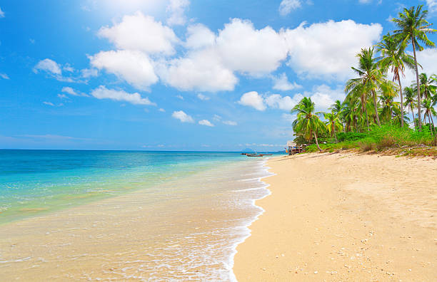 istock beach and tropical sea 132050220