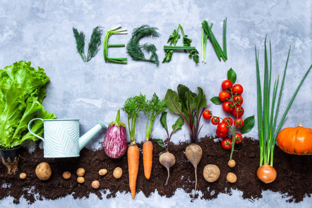 istock Fruits and vegetable harvest concept 1320503801