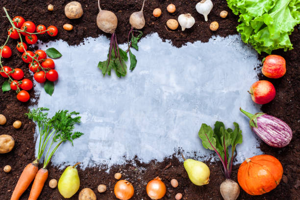 istock Fruit and vegetables are planted on black earth in frame 1320503823