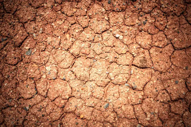 Full frame to terrain with arid climate. The surface of the land is cracked. crack soil ground texture. The natural texture of soil with cracks. Broken clay surface of barren dryland wasteland closeup